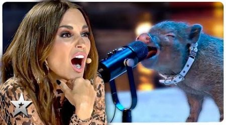 ASTONISHING Animal Auditions on Spain&#39;s Got Talent!