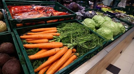 Wholesale Prices of Most Basic Foods, Fruits and Vegetables Rise in a Week