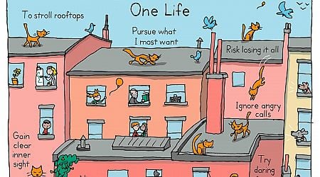 One Life