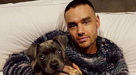 Liam Payne's heartbreaking hope for son Bear and sad signs he was trying to sort his life out