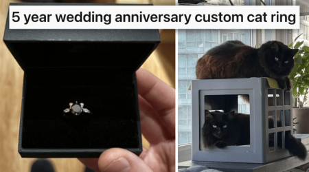 Wholesome Husband Buys Unique Cat-Shaped Anniversary Ring For His Feline Fanatic Furrever Partner, Styled After Their Fluffy Fur Babies