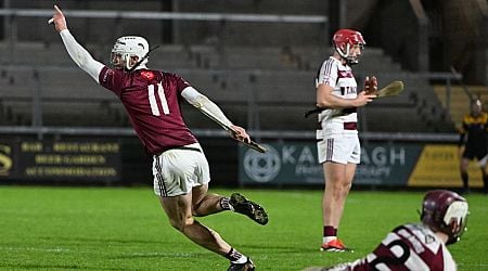 Davy Fitzgerald opens door to club star returning to county stage after remarkable 3-9 haul