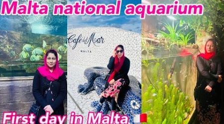 Our First Day In Malta || Malta National Aquarium Is A Must -Visit In Malta || Malta Rock Sea,