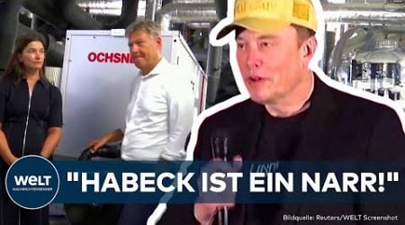 X: Habeck legt sich mit Musk an! &quot;Gesellschaftliche Meinung manipuliert!&quot; Social Media regulieren?