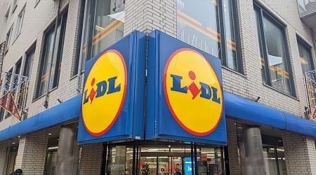 20-year-old Lidl Hungary to Further Expand in the Country