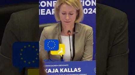 EU unity in a &#39;world on fire&#39; Kallas makes top diplomat pitch