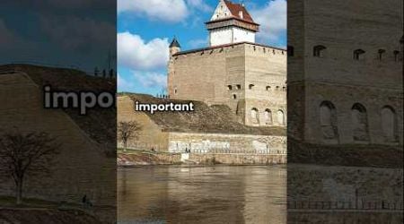 WW2: Battle of Narva 1944 (redux) #history #ww2 #sovietunion #germany #estonia #facts