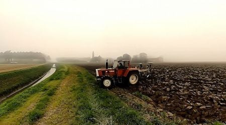 #aratura #Steyr 8160 #Sig.Giovanni #campagna Cremonese #agri #italytractor