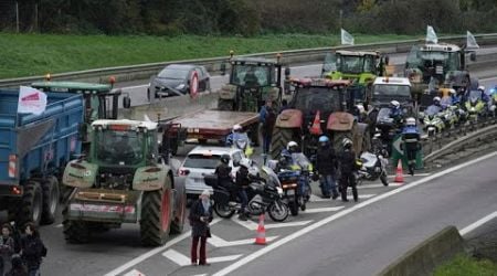 French farmers rally across country to protest EU-Mercosur trade deal