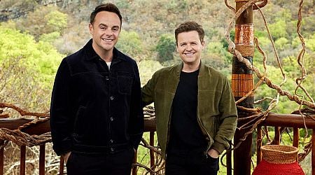 Ant and Dec left baffled as 'random man' spotted on ITV's I'm A Celeb