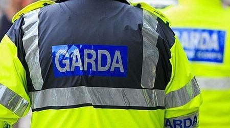 Man charged after alleged serious assault in broad daylight in Naas 