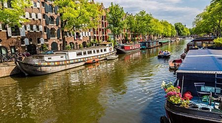 Amsterdam among global cities that provide too little natural shade for residents