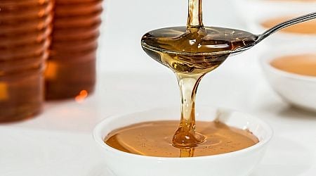 Hungarian government presses for effective steps against imports of fake honey in Brussels