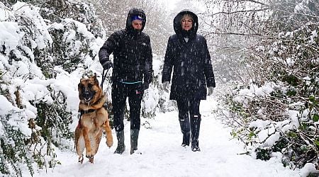 Ireland weather: Six essential food items Irish households are urged to buy before 'snowstorm' hits 