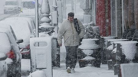 Irish households urged to buy six food items before 'snowstorm' as Met Eireann issue snow update