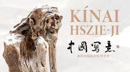 Contemporary Chinese art on display at Hungarian National Museum