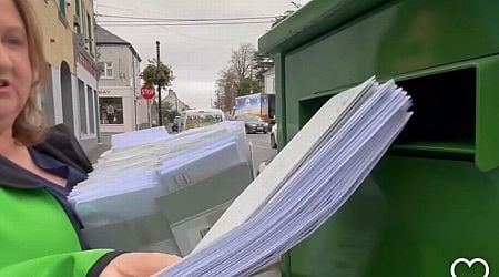 Minister to repay Oireachtas after video shows her stuffing postbox with prepaid envelopes