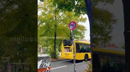 Parking in a bus lane or on a road designated for buses in Germany can lead to significant fines