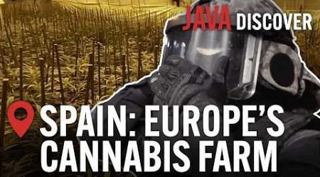 Spain&#39;s Marijuana Crisis: The Rise of Spain&#39;s Drug Smuggling Networks | Full Documentary