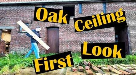 Temporary OAK CEILING SETUP: See how it looks! / Renovating a 110+ y.o. ABANDONED farm in Belgium