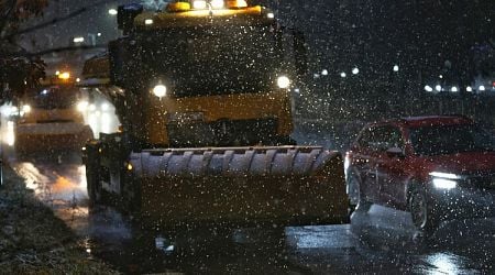 Total of 171 Snowploughs Work in Sofia Overnight, Emergency Teams Remove Fallen Branches, Trees