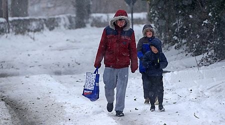 Ireland weather: When snow will reach each county as schools close and roads become hazardous