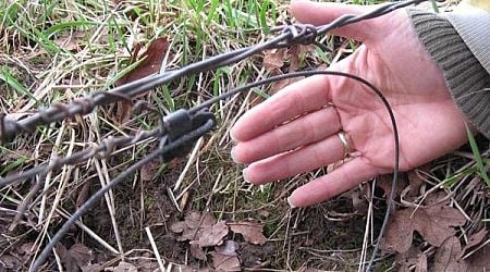 Warning of illegal snares in Fanad area posing danger to pets and wildlife