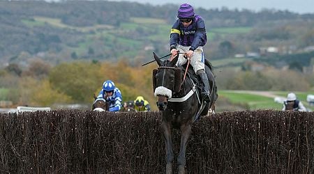 Deaths of three horses at Cheltenham 'could not have been predicted or prevented'