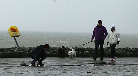 Met Eireann issues Status Orange warning to three counties as Storm Bert set to wreak havoc