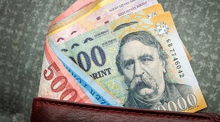 Official: Minimum wage in Hungary to rise in 2025