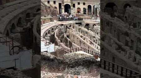 Colosseum #rome #2024 #italy #europe #travel #shorts #fyp #reels #tourism #vatican