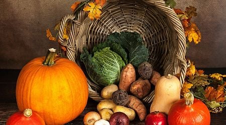 5 Great Thanksgiving Apps