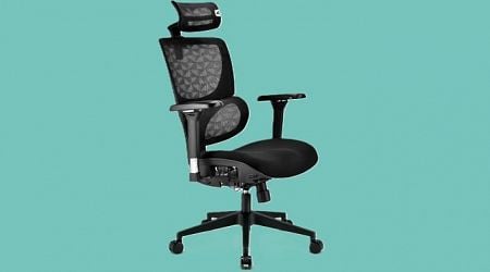 Herman Miller Too Pricey? Sharkoon Says Check Out Its OfficePal C40 And C40M Chairs