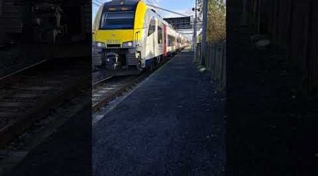 Train pour Mons en gare de Obourg de 15h58 v1