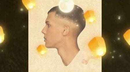 Stromae - Formidable remix