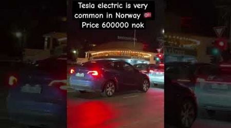 Price for Tesla in Norway #shortvideo