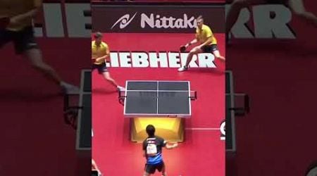 Sweden vs Japan #worldtabletennis #pingpong #tabletennisplayer #tabletennis #sports #tenismeja