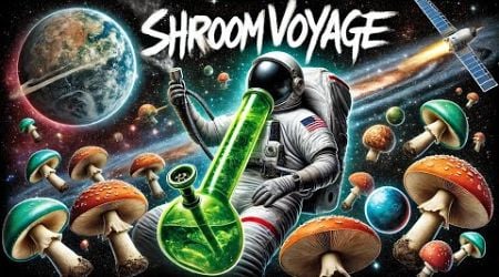 SHROOM VOYAGE - Psy Dub Mix (Psychill Dub ,PsyDub Chill Out ,Psy Dub Ambient)