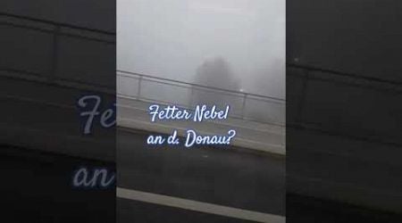 Fetter Nebel in Ingolstadt, an der Donau am 16.11.2024 um 07:30 Uhr?| Stillengel-Mama|Familienkanal