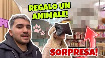 REGALO UN ANIMALE A SARA - SORPRESA!!