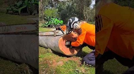 Girl Rescues Animal Stuck in Tree #shortsvideo