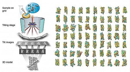 3D snapshots unveil the intricate dance of RNA folding