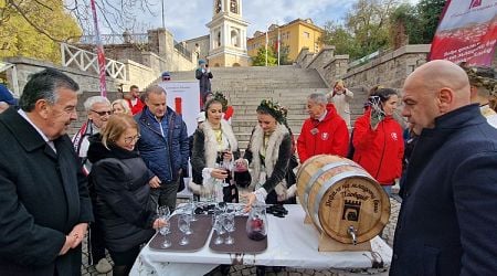 Nearly 20% of Bulgarian Winemakers Showcase Their Products at 16th Young Wine Festival in Plovdiv