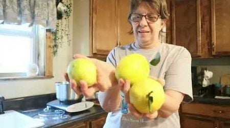 Juicing LEMONS with BOSCH Universal Black Plus Mixer