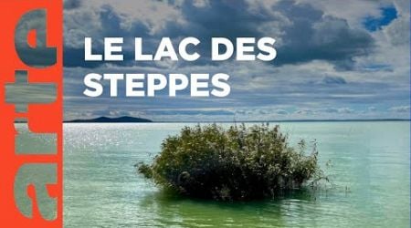 Le lac Balaton en Hongrie | Voyage en eaux calmes | ARTE Family