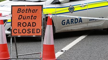 Two men (30s) killed and three others injured in Co Donegal road crash