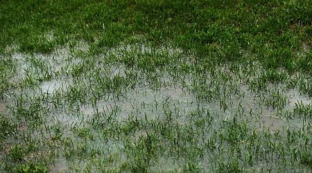 Storm Bert hits today's GAA fixtures leading to postponements, pitch inspections and venue changes