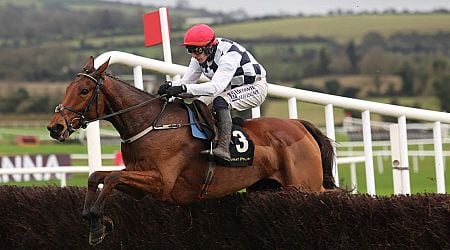 Ballyburn cut to 2-1 Arkle favourite after strolling to victory on chasing bow