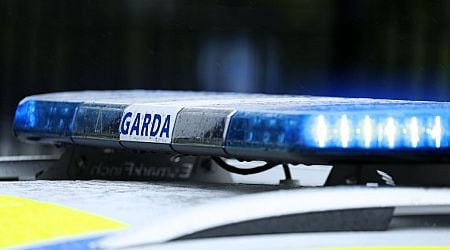 Two men arrested following cocaine haul in Limerick