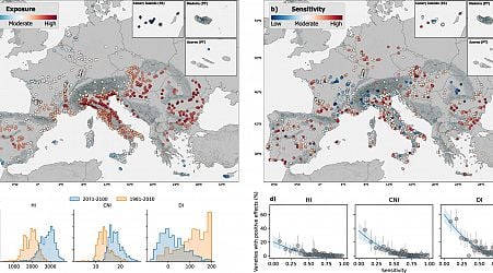 Climate and wine: Study shows that flexibility is needed to adapt